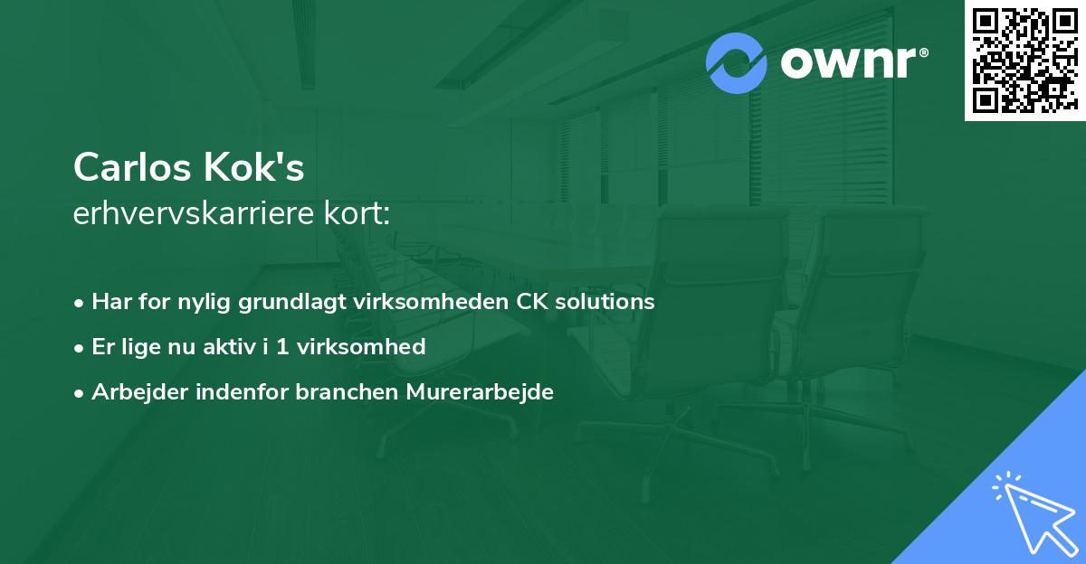 Carlos Kok's erhvervskarriere kort