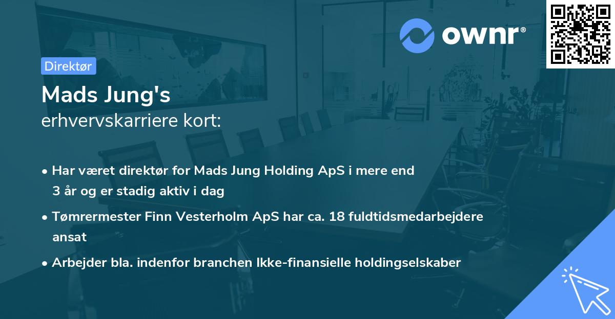 Mads Jung's erhvervskarriere kort