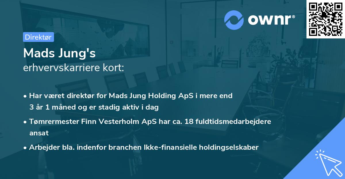 Mads Jung's erhvervskarriere kort