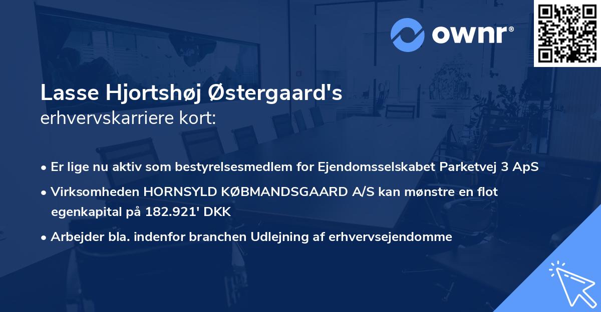 Lasse Hjortshøj Østergaard's erhvervskarriere kort