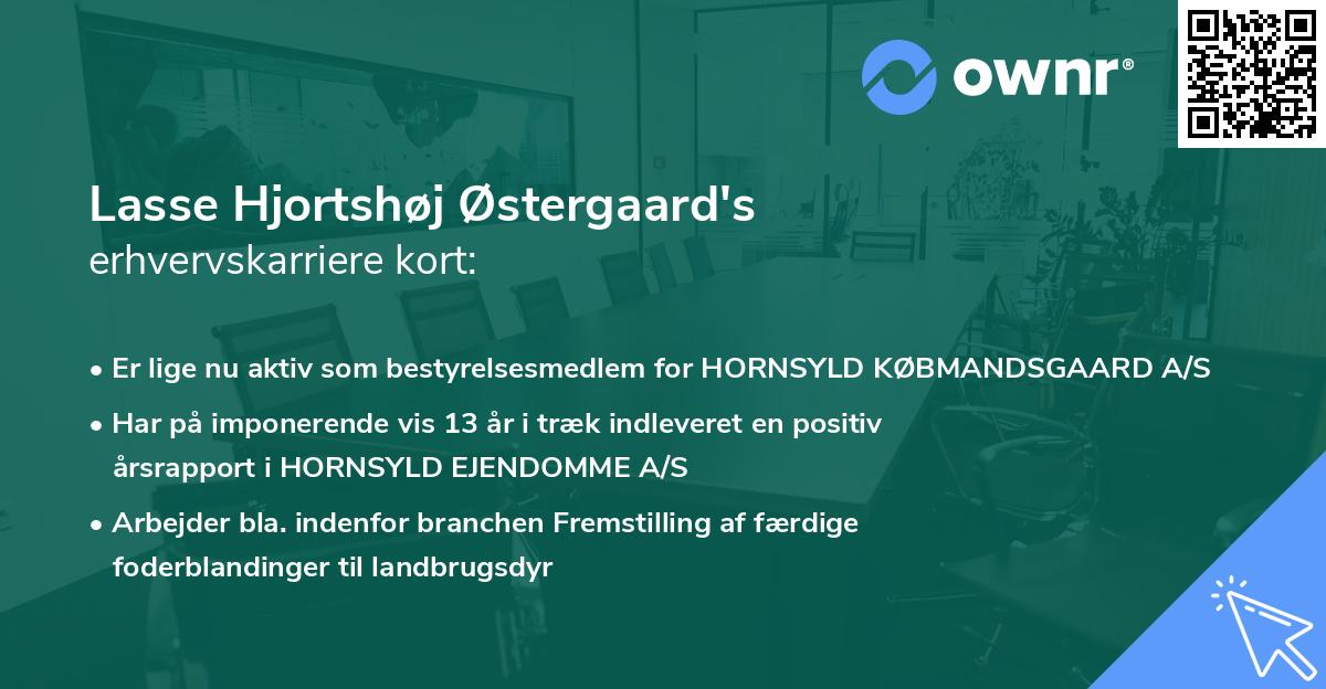 Lasse Hjortshøj Østergaard's erhvervskarriere kort