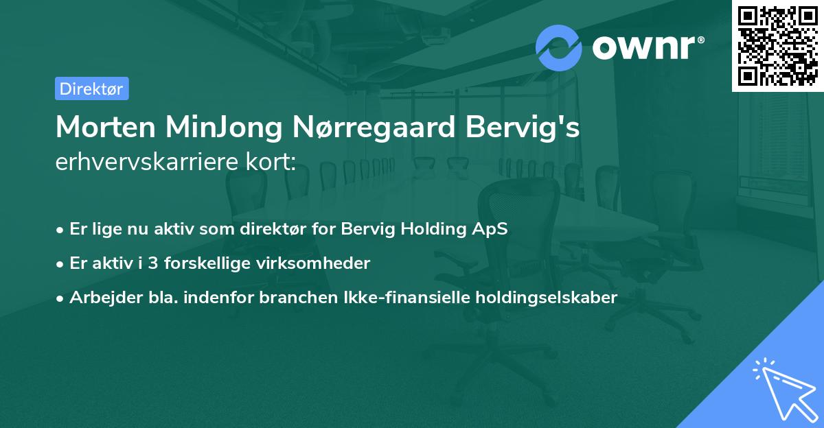 Morten MinJong Nørregaard Bervig's erhvervskarriere kort