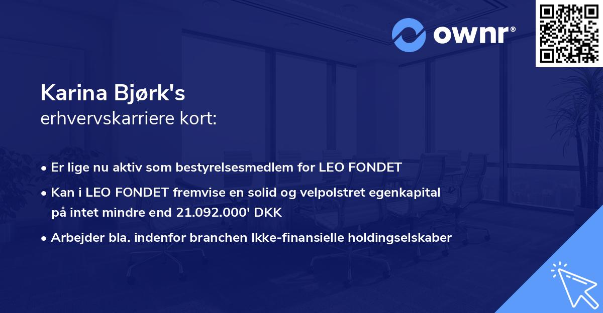 Karina Bjørk's erhvervskarriere kort