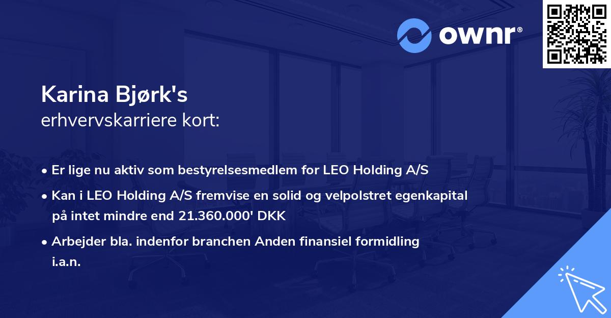 Karina Bjørk's erhvervskarriere kort