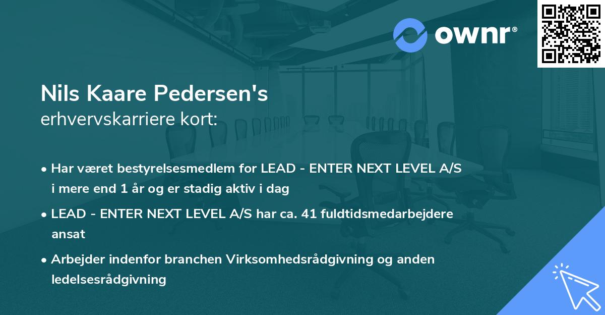 Nils Kaare Pedersen's erhvervskarriere kort