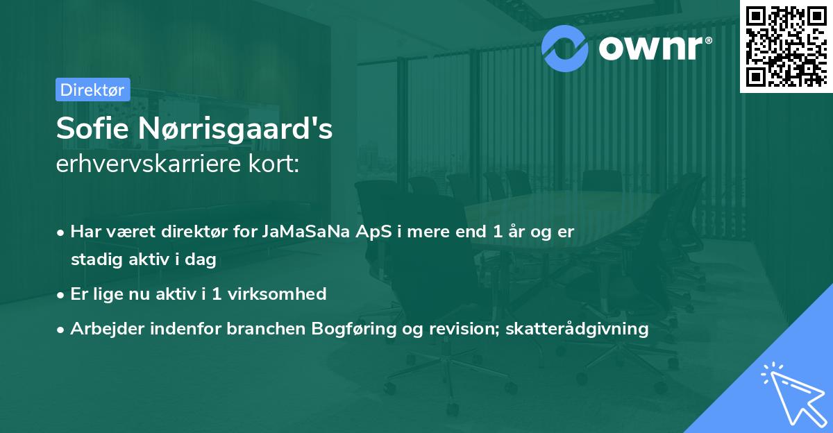 Sofie Nørrisgaard's erhvervskarriere kort