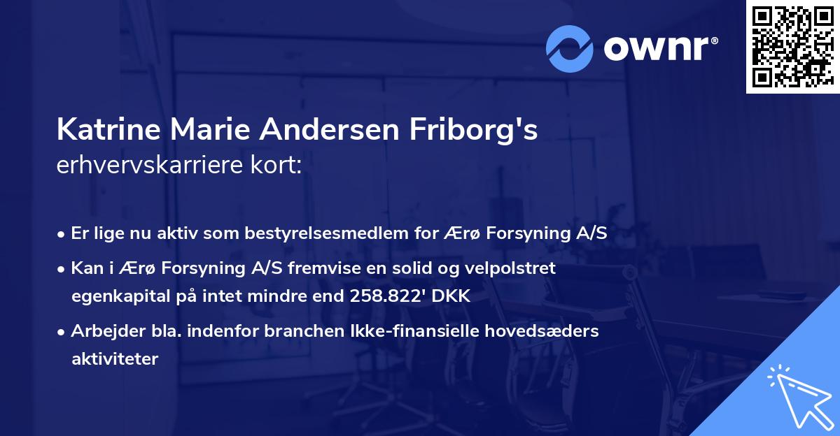 Katrine Marie Andersen Friborg's erhvervskarriere kort