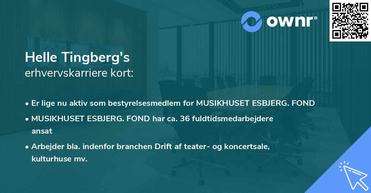 Helle Tingberg's erhvervskarriere kort