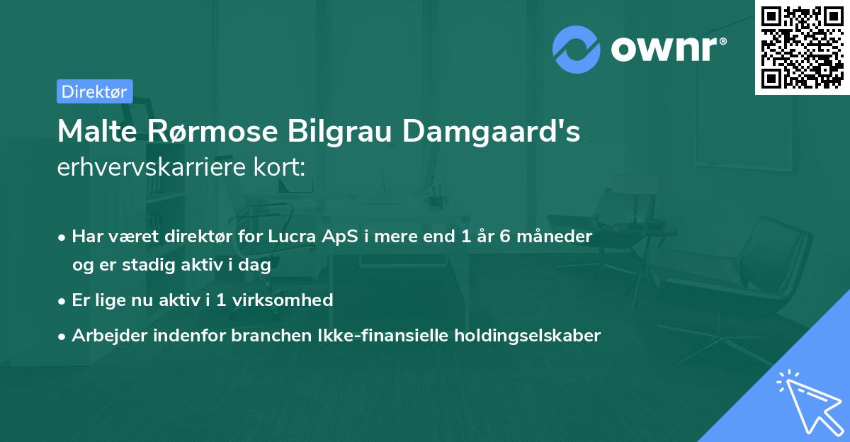 Malte Rørmose Bilgrau Damgaard's erhvervskarriere kort