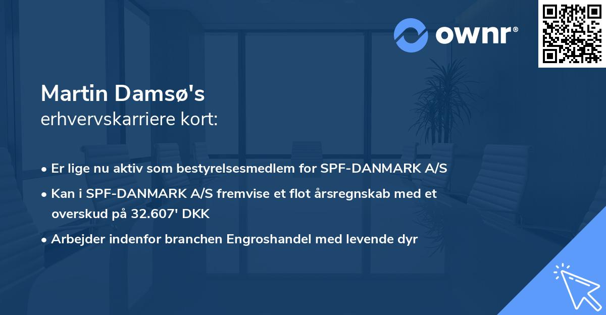 Martin Damsø's erhvervskarriere kort