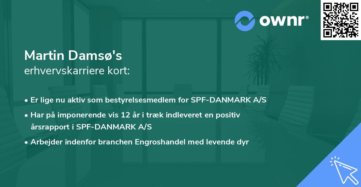 Martin Damsø's erhvervskarriere kort