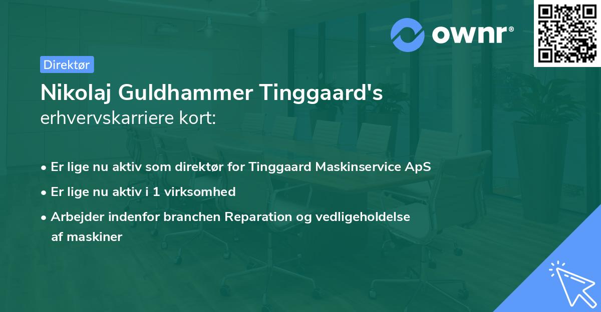 Nikolaj Guldhammer Tinggaard's erhvervskarriere kort