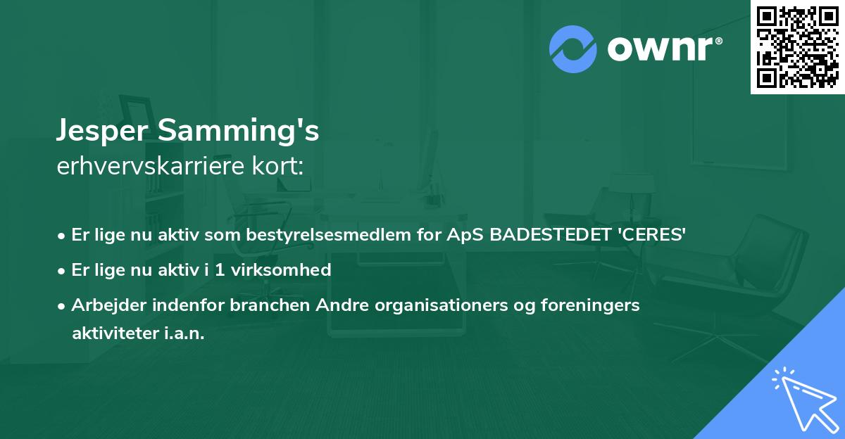 Jesper Samming's erhvervskarriere kort