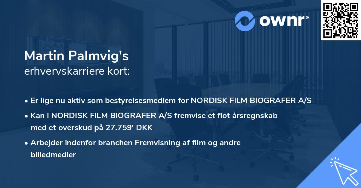 Martin Palmvig's erhvervskarriere kort