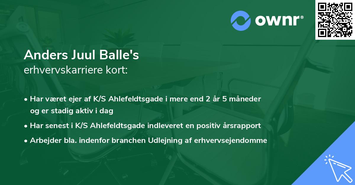 Anders Juul Balle's erhvervskarriere kort
