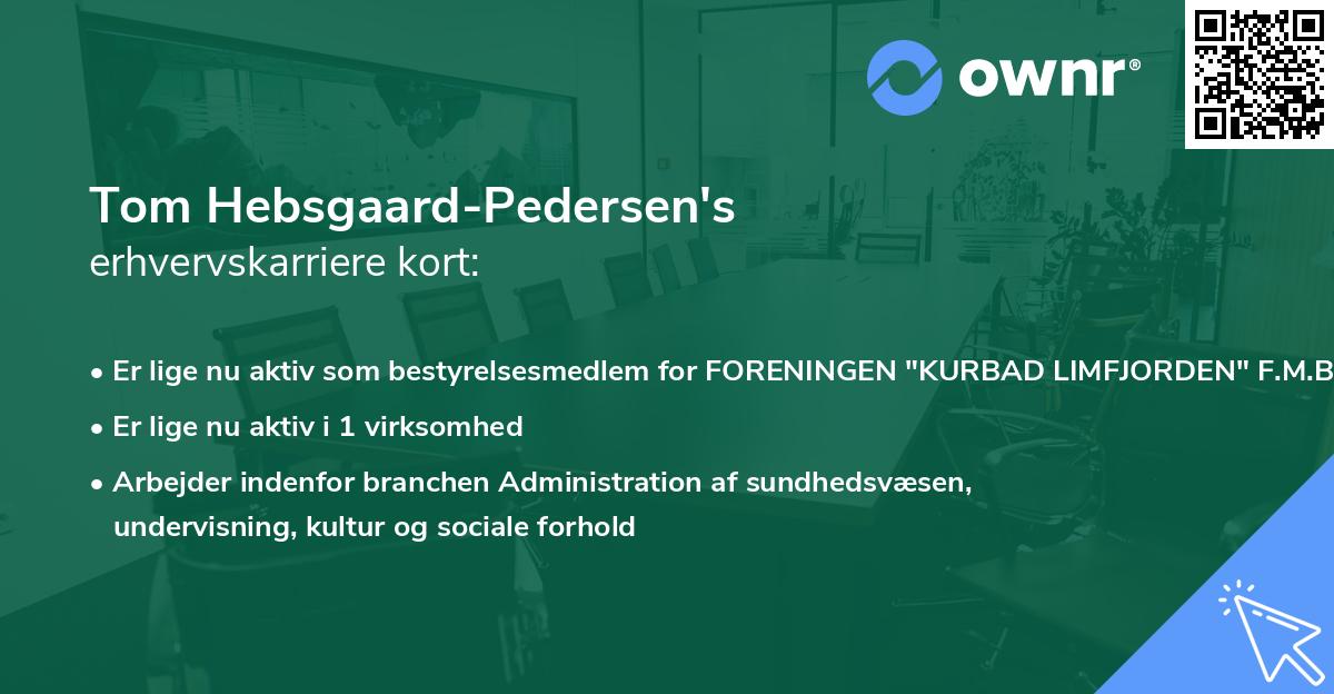 Tom Hebsgaard-Pedersen's erhvervskarriere kort
