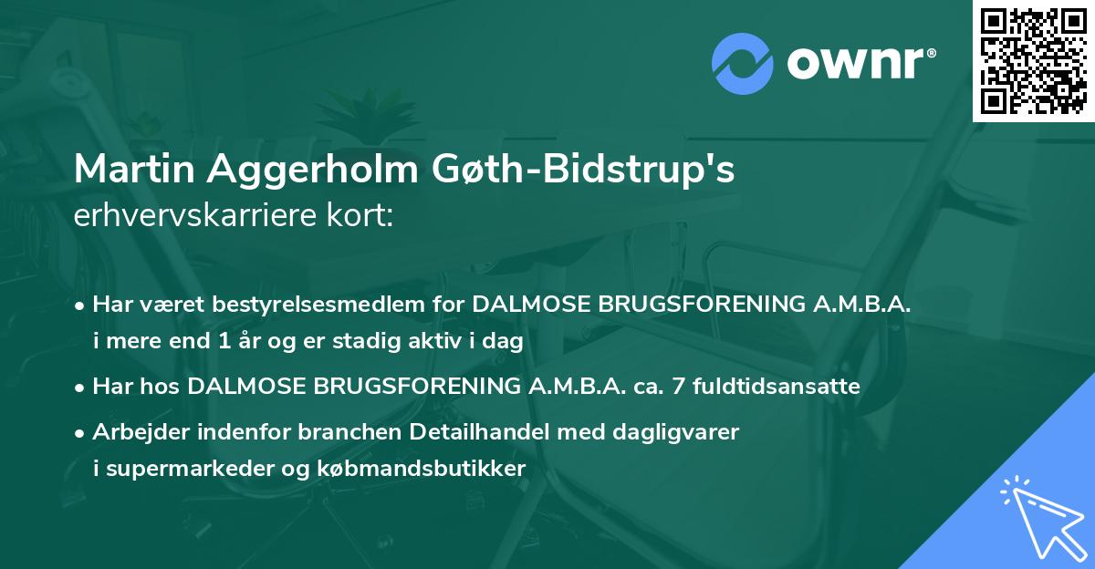 Martin Aggerholm Gøth-Bidstrup's erhvervskarriere kort