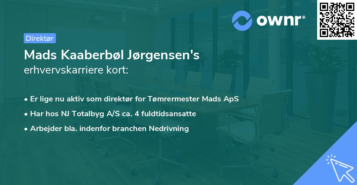 Mads Kaaberbøl Jørgensen's erhvervskarriere kort