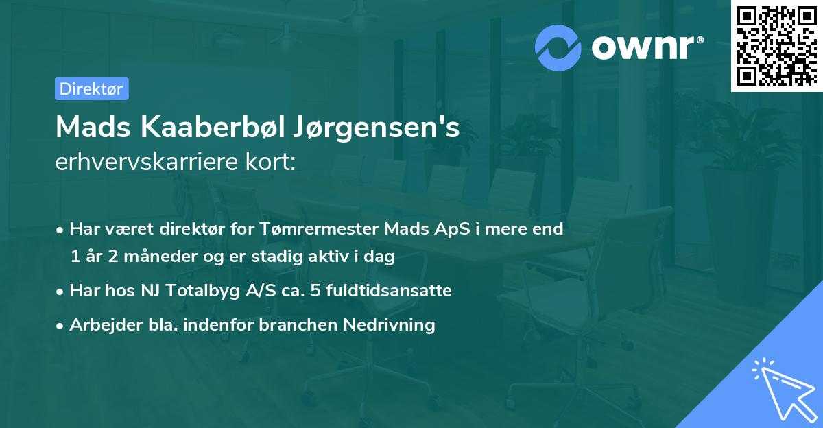 Mads Kaaberbøl Jørgensen's erhvervskarriere kort