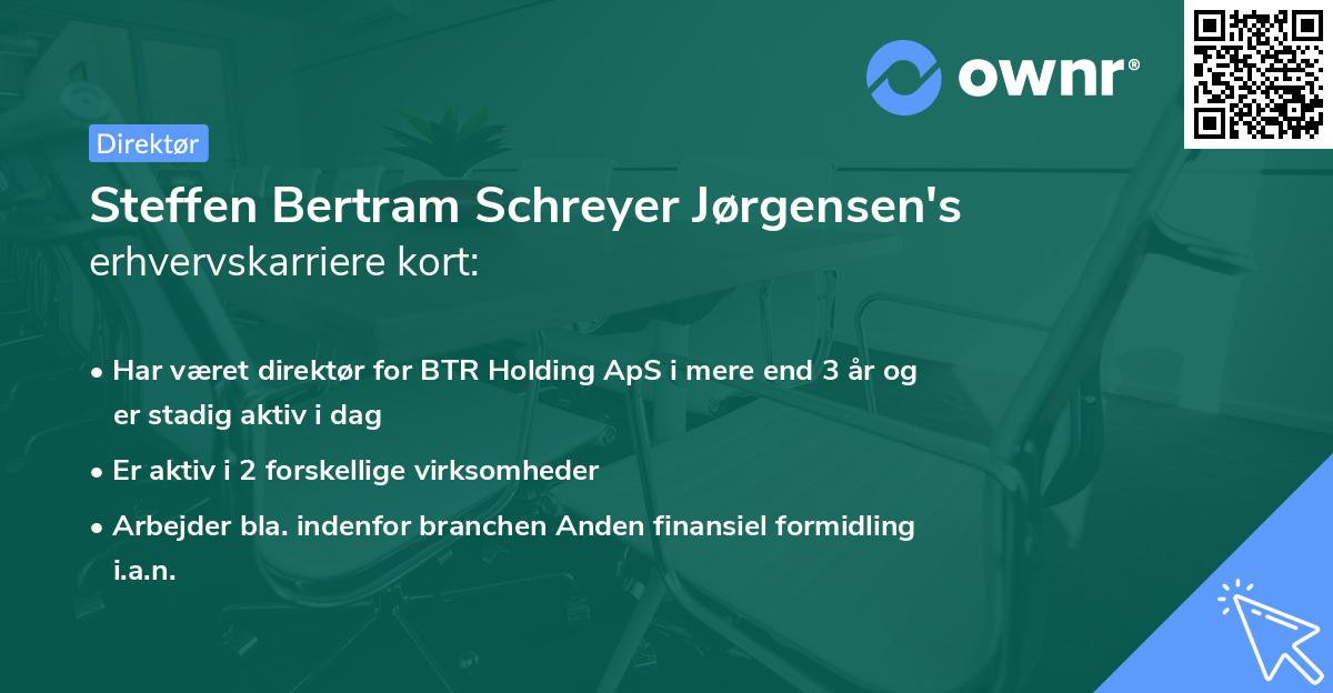 Steffen Bertram Schreyer Jørgensen's erhvervskarriere kort