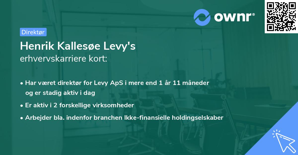 Henrik Kallesøe Levy's erhvervskarriere kort