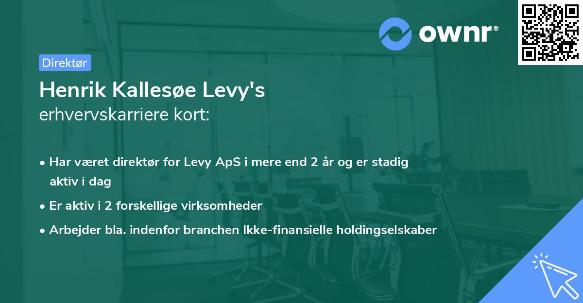 Henrik Kallesøe Levy's erhvervskarriere kort