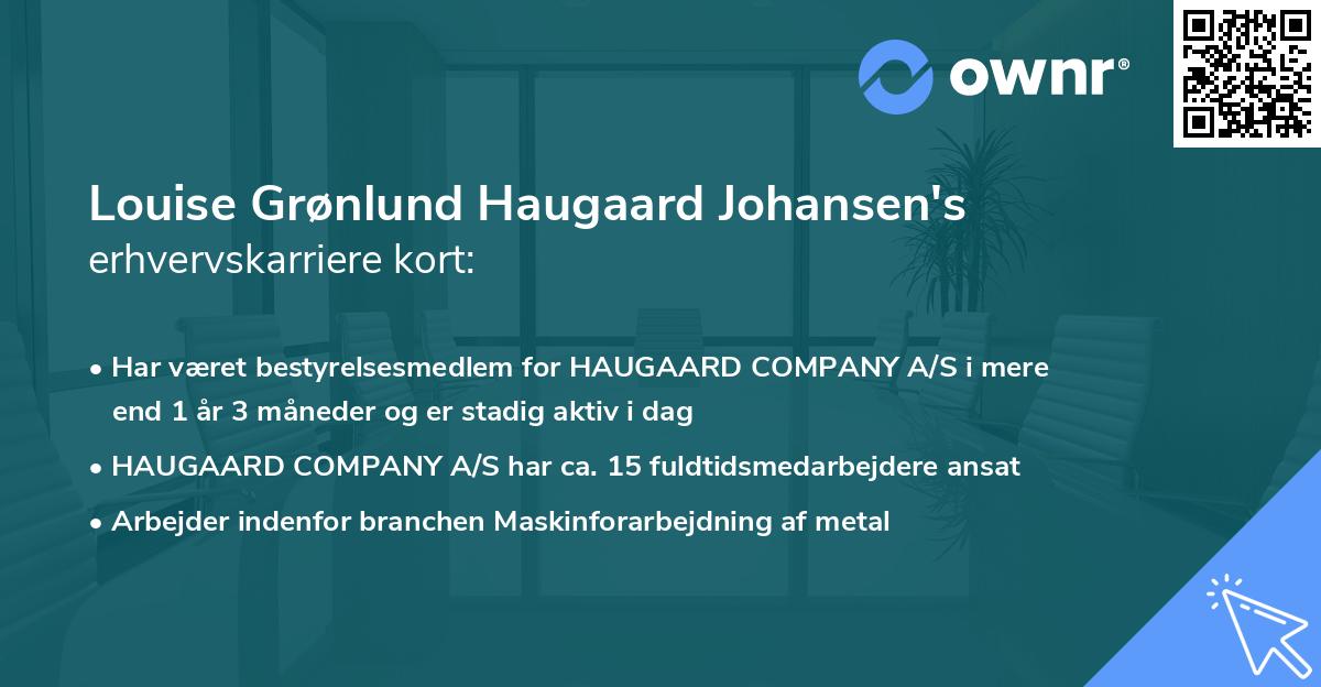 Louise Grønlund Haugaard Johansen's erhvervskarriere kort