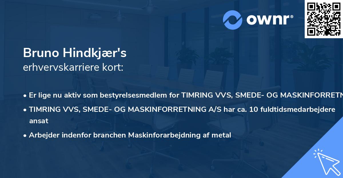 Bruno Hindkjær's erhvervskarriere kort