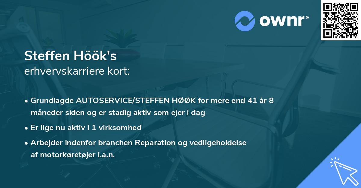 Steffen Höök's erhvervskarriere kort