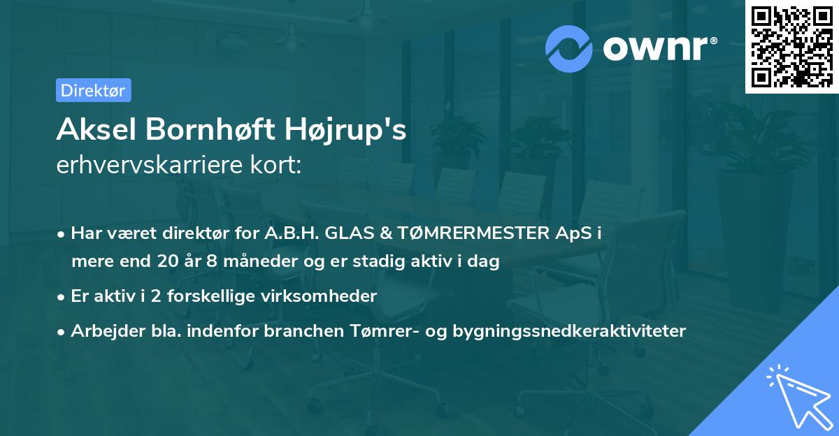Aksel Bornhøft Højrup's erhvervskarriere kort