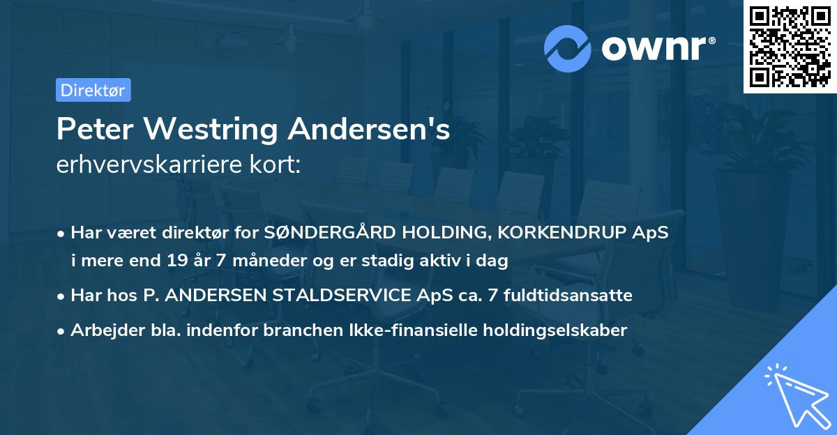 Peter Westring Andersen's erhvervskarriere kort