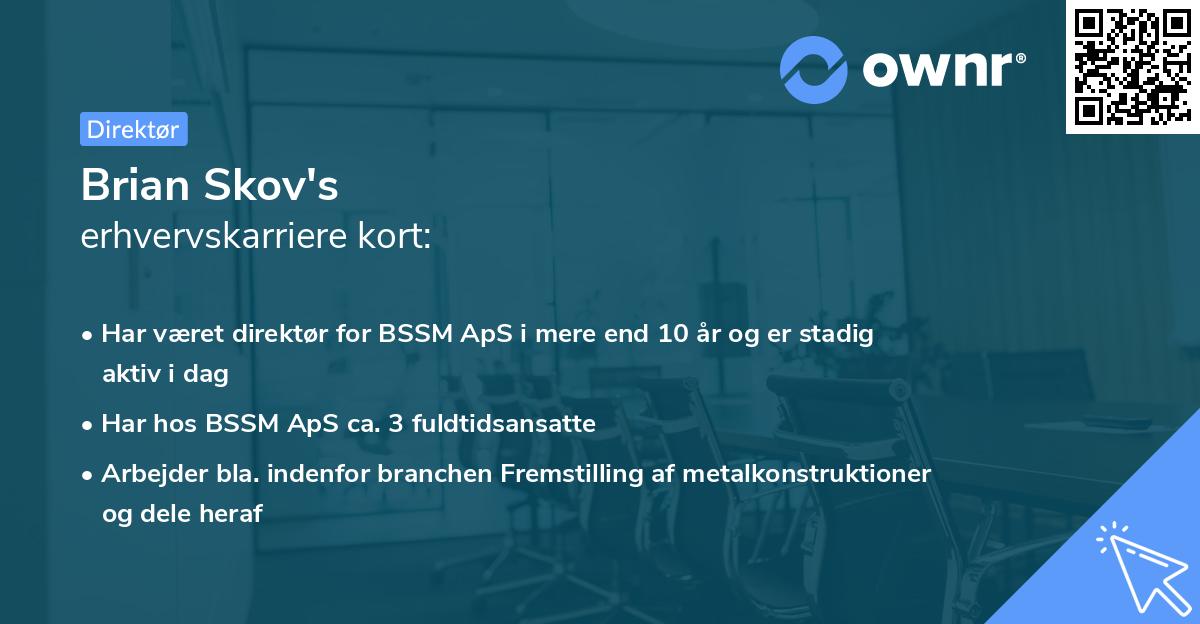 Brian Skov's erhvervskarriere kort