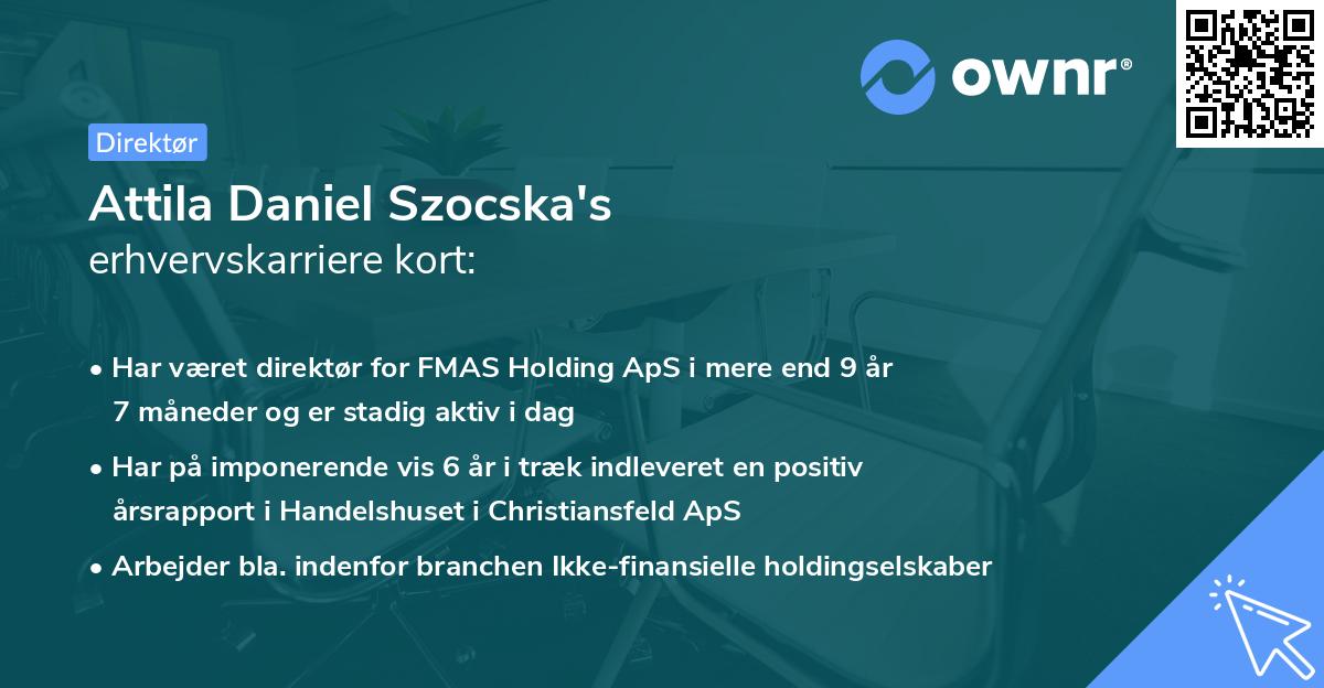 Attila Daniel Szocska's erhvervskarriere kort