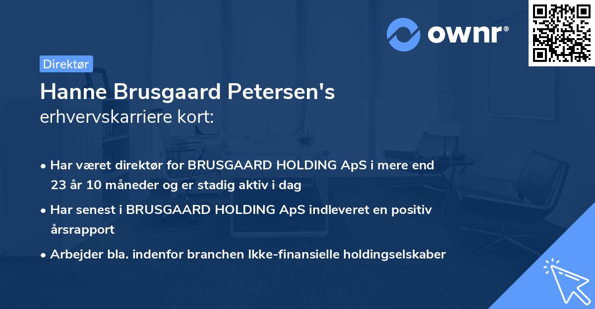Hanne Brusgaard Petersen's erhvervskarriere kort