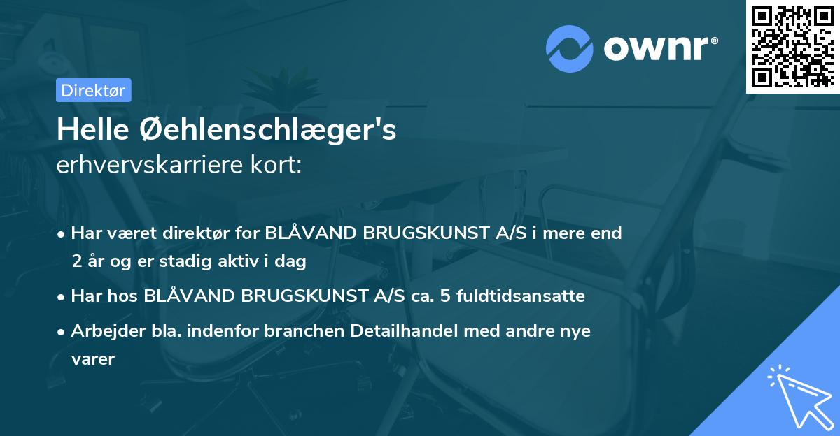 Helle Øehlenschlæger's erhvervskarriere kort