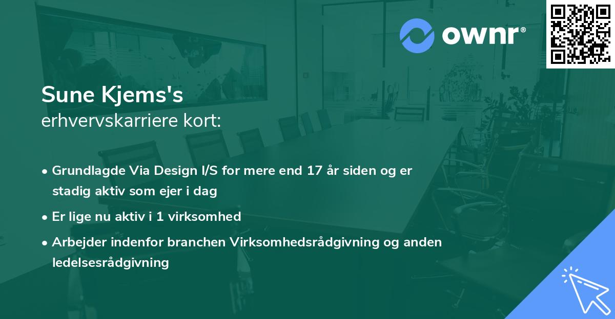 Sune Kjems's erhvervskarriere kort