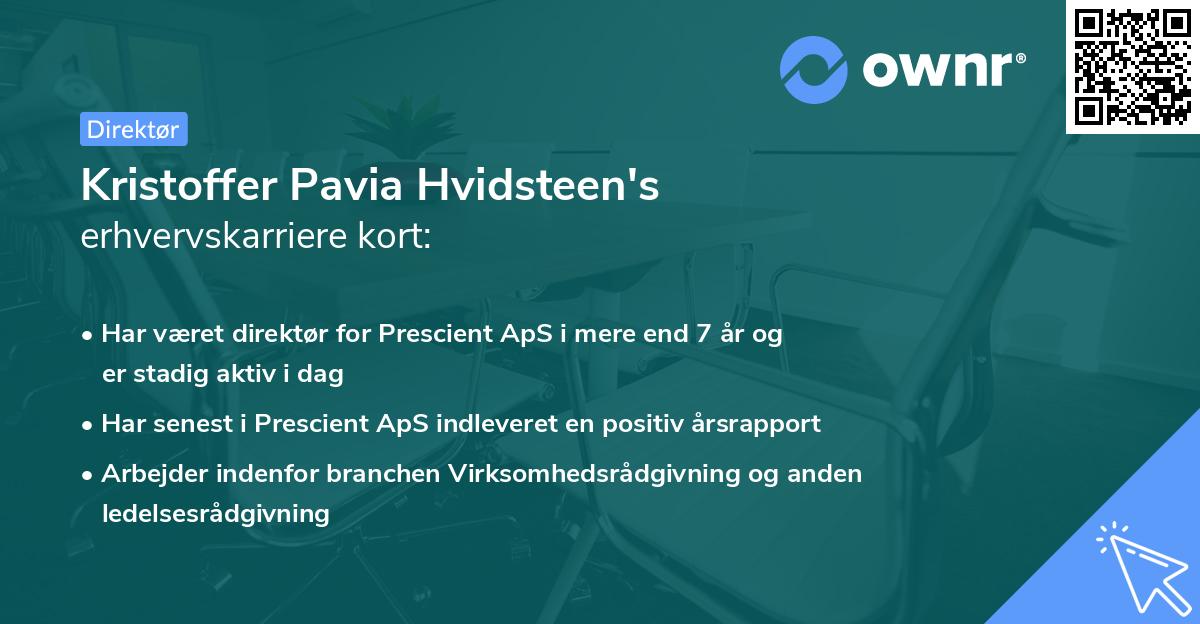 Kristoffer Pavia Hvidsteen's erhvervskarriere kort