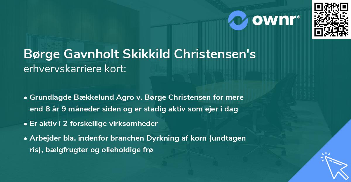 Børge Gavnholt Skikkild Christensen's erhvervskarriere kort