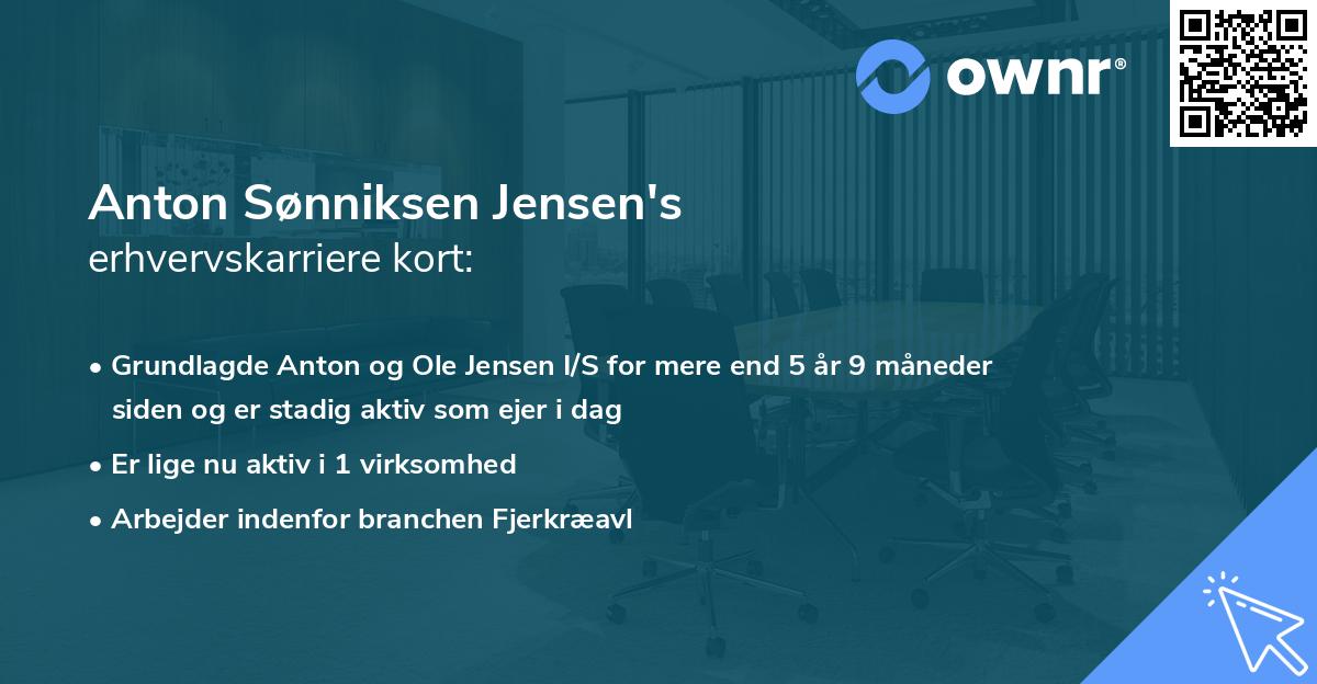 Anton Sønniksen Jensen's erhvervskarriere kort