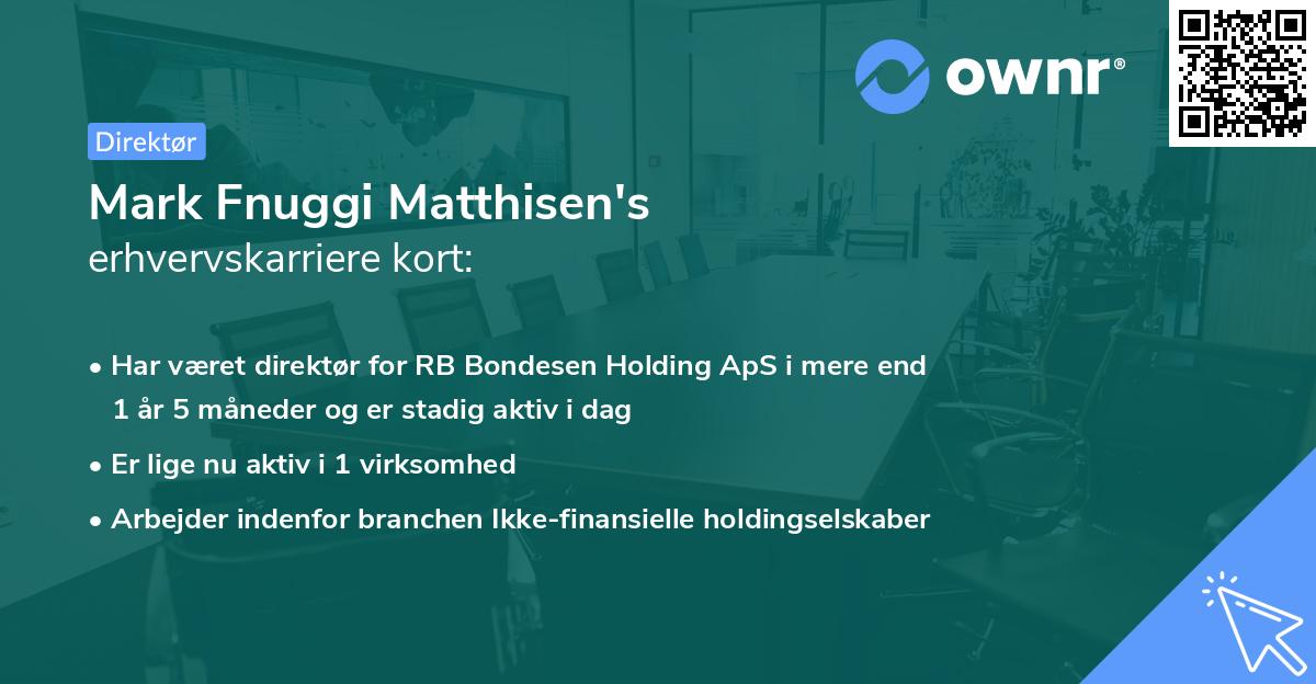 Mark Fnuggi Matthisen's erhvervskarriere kort