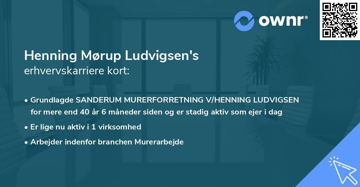 Henning Mørup Ludvigsen's erhvervskarriere kort