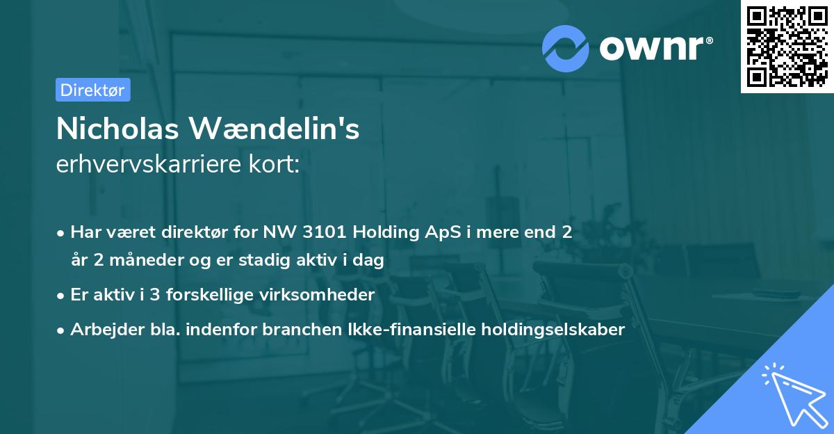 Nicholas Wændelin's erhvervskarriere kort