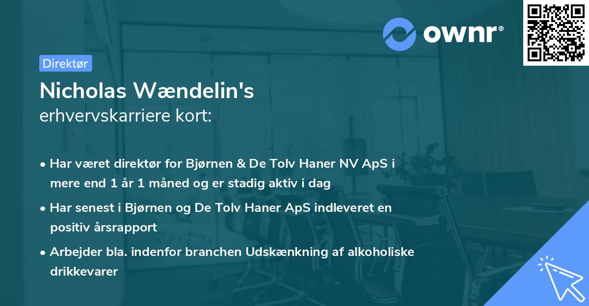 Nicholas Wændelin's erhvervskarriere kort