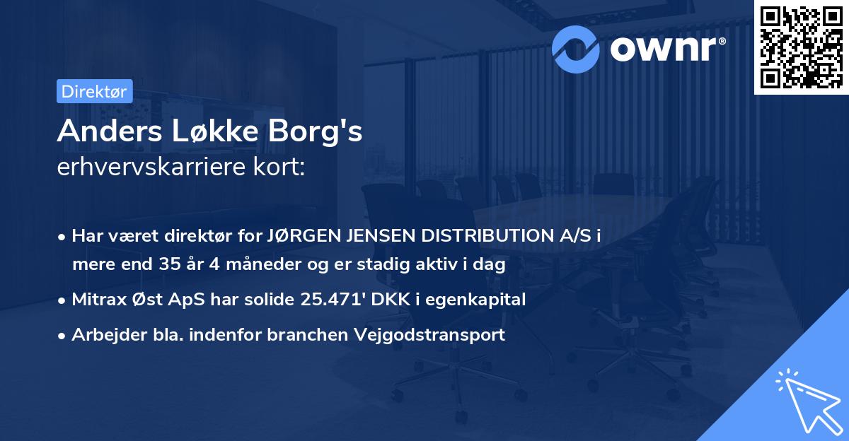 Anders Løkke Borg's erhvervskarriere kort