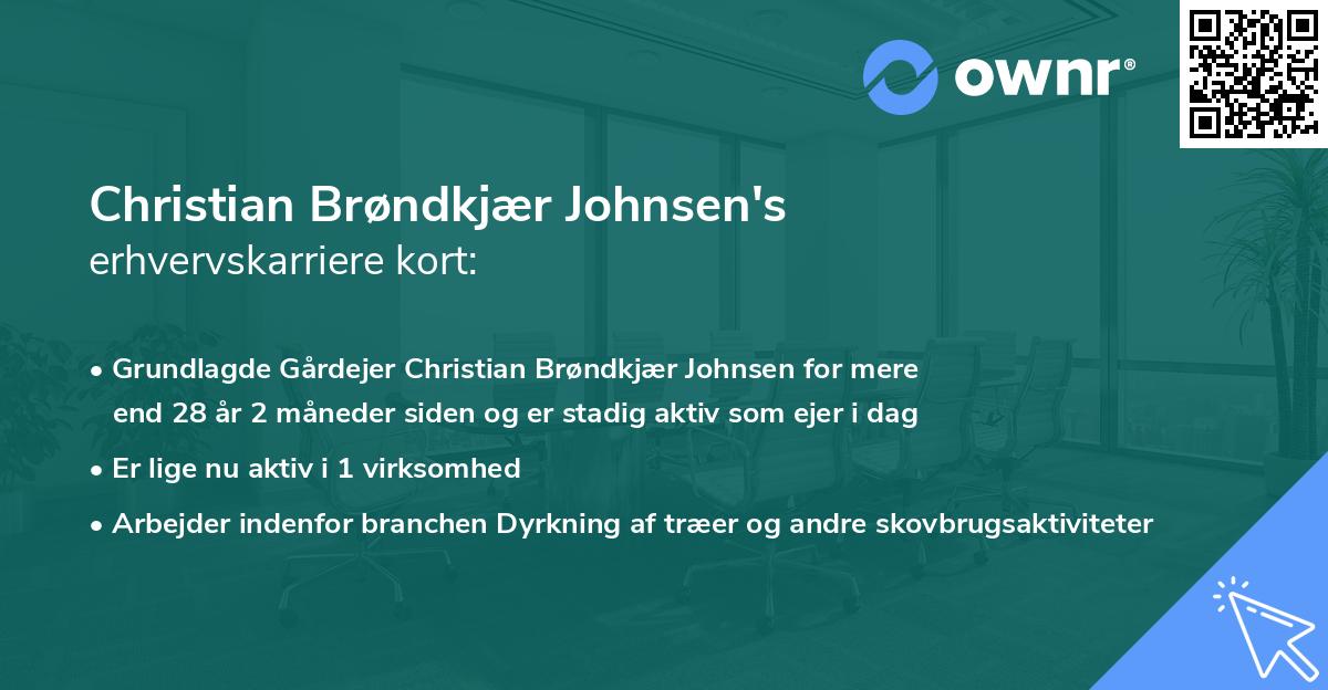 Christian Brøndkjær Johnsen's erhvervskarriere kort
