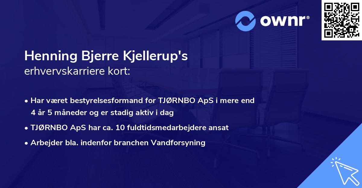 Henning Bjerre Kjellerup's erhvervskarriere kort