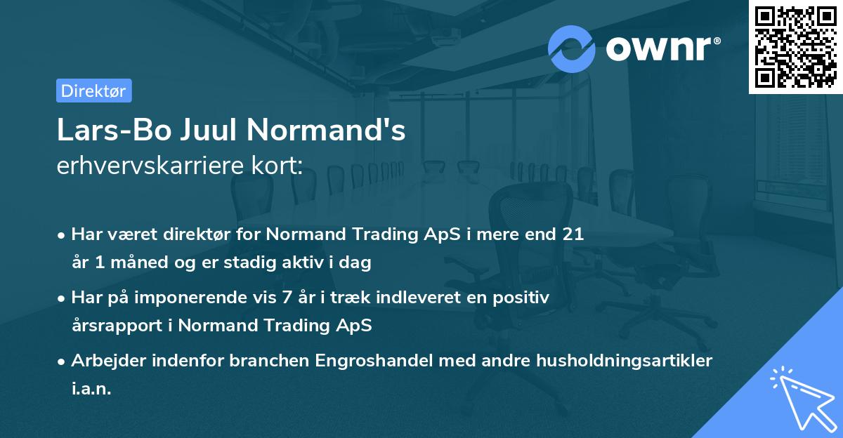 Lars-Bo Juul Normand's erhvervskarriere kort
