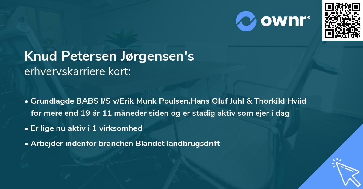 Knud Petersen Jørgensen's erhvervskarriere kort