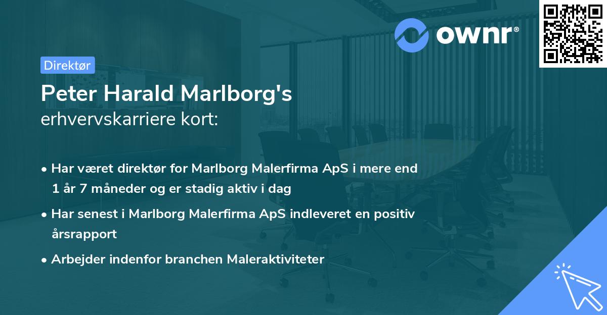 Peter Harald Marlborg's erhvervskarriere kort