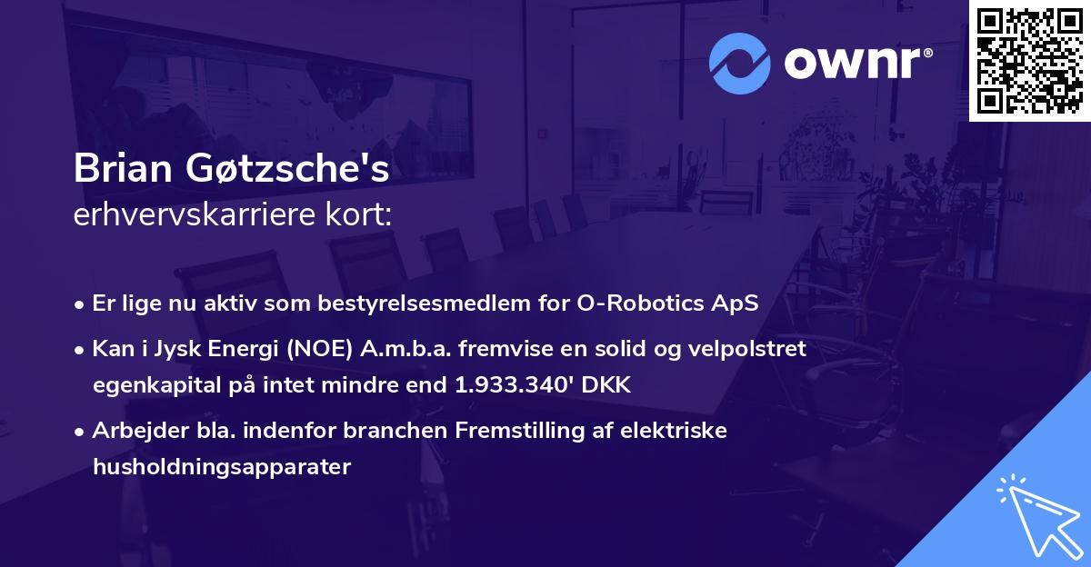 Brian Gøtzsche's erhvervskarriere kort